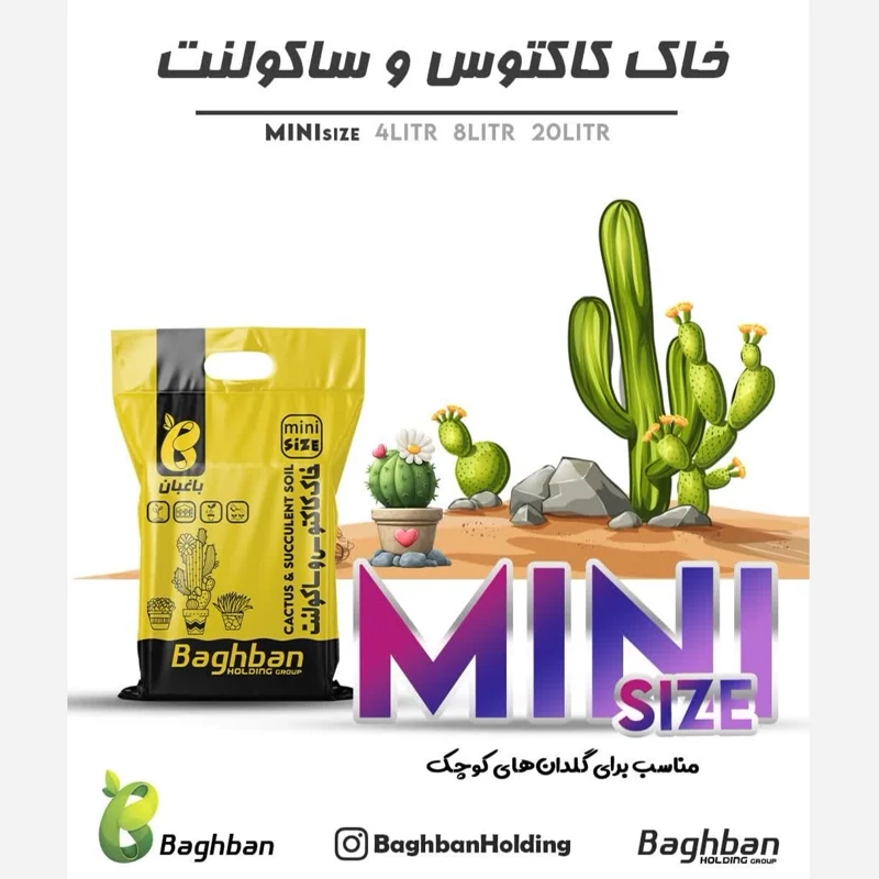خاک مناسب انواع کاکتوس و ساکولنت