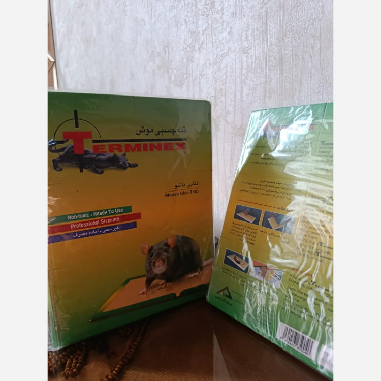 چسب موش خارجی کتابی