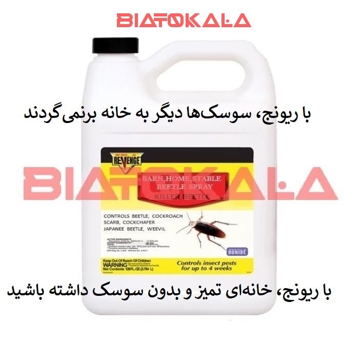 ریشه کنی هجوم سوسک فاضلابی با ریونج