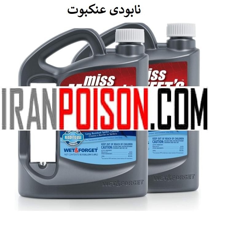خانه‌ای تمیز بدون هیچ عنکبوتی با مفتس