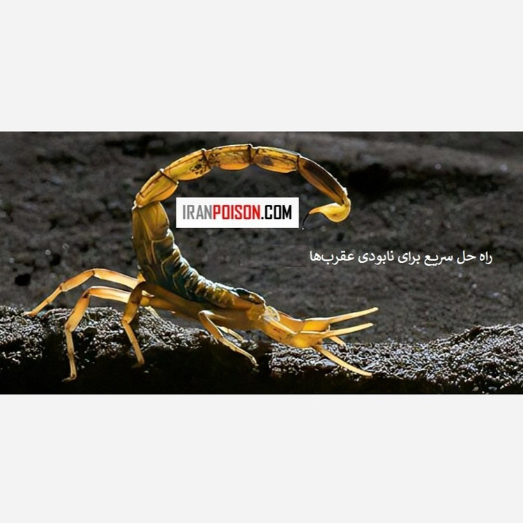 برای خانهای امن سم هاریس را امتحان کنید