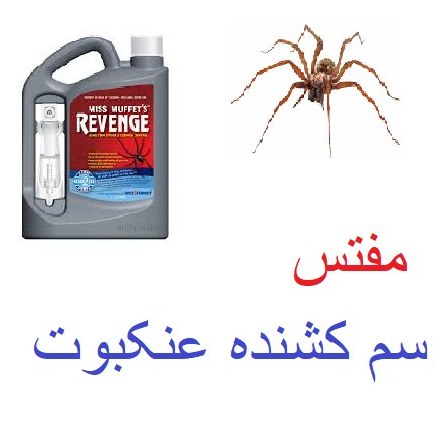 سم عنکبوت مفتس
