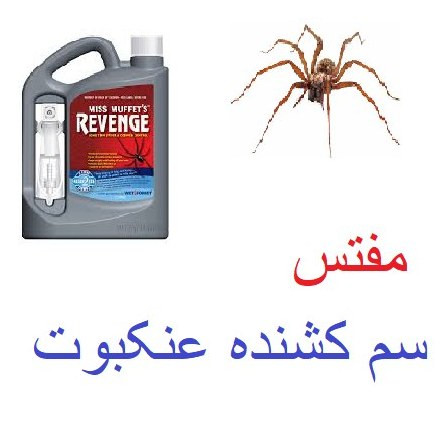 سم عنکبوت مفتس