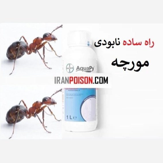 نابودی سریع و مؤثر  مورچه با آکواپای