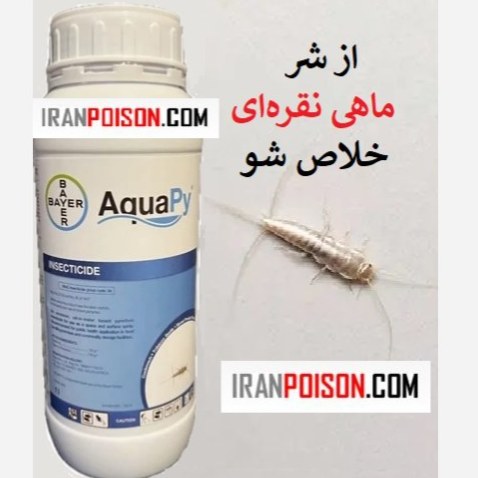 از شر ماهی نقره‌ای خلاص شو با آکواپای