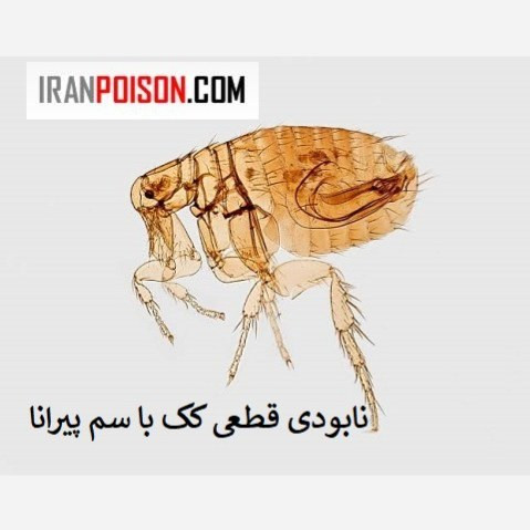 نابود کک ها با پیرانا(وارداتی بیاتوکالا)