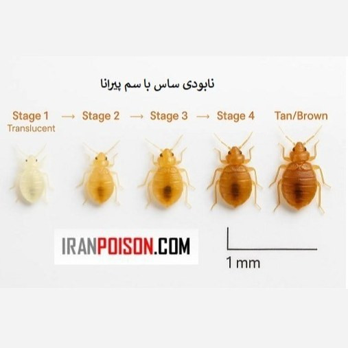 نابودی قطعی ساس با پیرانا(وارداتی بیاتوکالا)