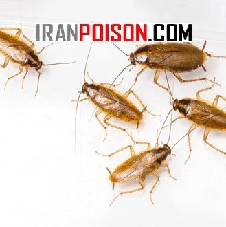 فروش محصول ریپلزال وارداتی برای مصرف مطابق دستورالعمل رسمی(ارسال رایگان)