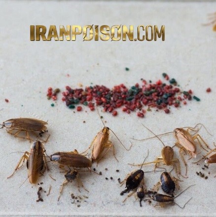 خریدوفروش سم شات گان حرفه ای وارداتی(ارسال رایگان)