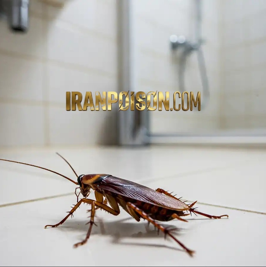 فروش سم رونج وارداتی مخصوص مدیریت سوسک در رستورانها(ارسال رایگان)