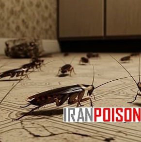 فروش سم سوسک فاضلابی رونج برای ساختمانهای اداری(ارسال رایگان)