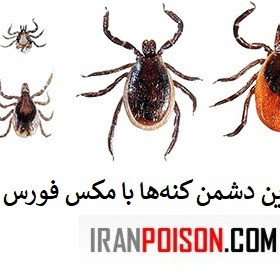 سم مکس فورس مخصوص کنه (ارسال رایگان)