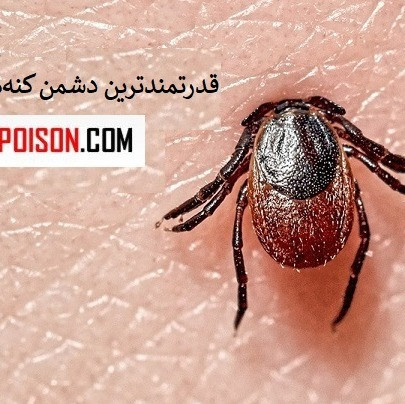 سم مکس فورس مخصوص کنه (ارسال رایگان)