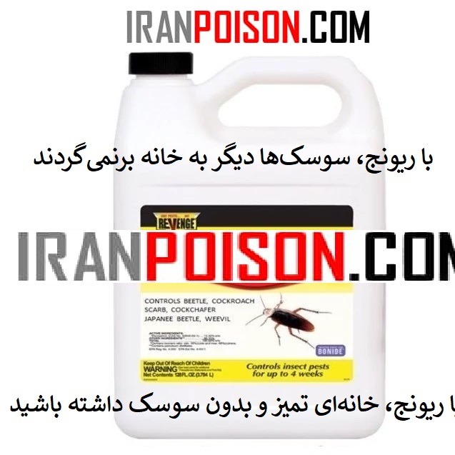 با رونج سوسکهای مزاحم رو جدیتر کنترل کن
