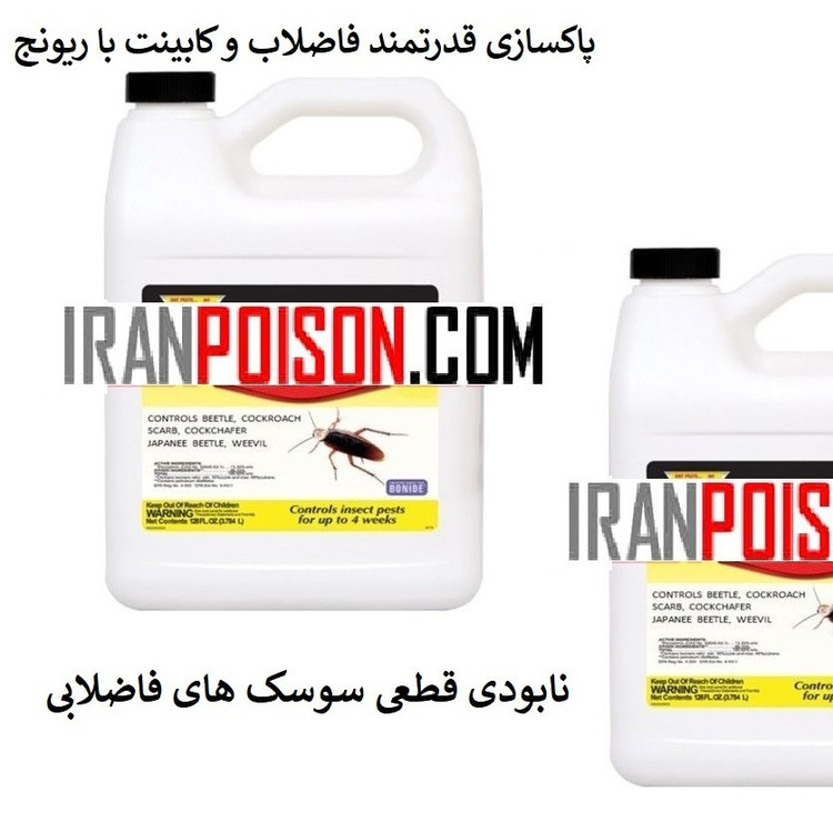 خرید سم پر فروش برای سوسک های فاضلابی رونج