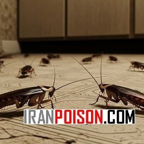 خرید سم پر فروش برای سوسک های فاضلابی رونج
