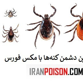 کنترل کنه با مکس فورس