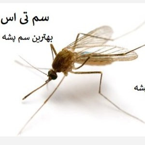 پایان حضور پشه ها در خانه با سم تی اس