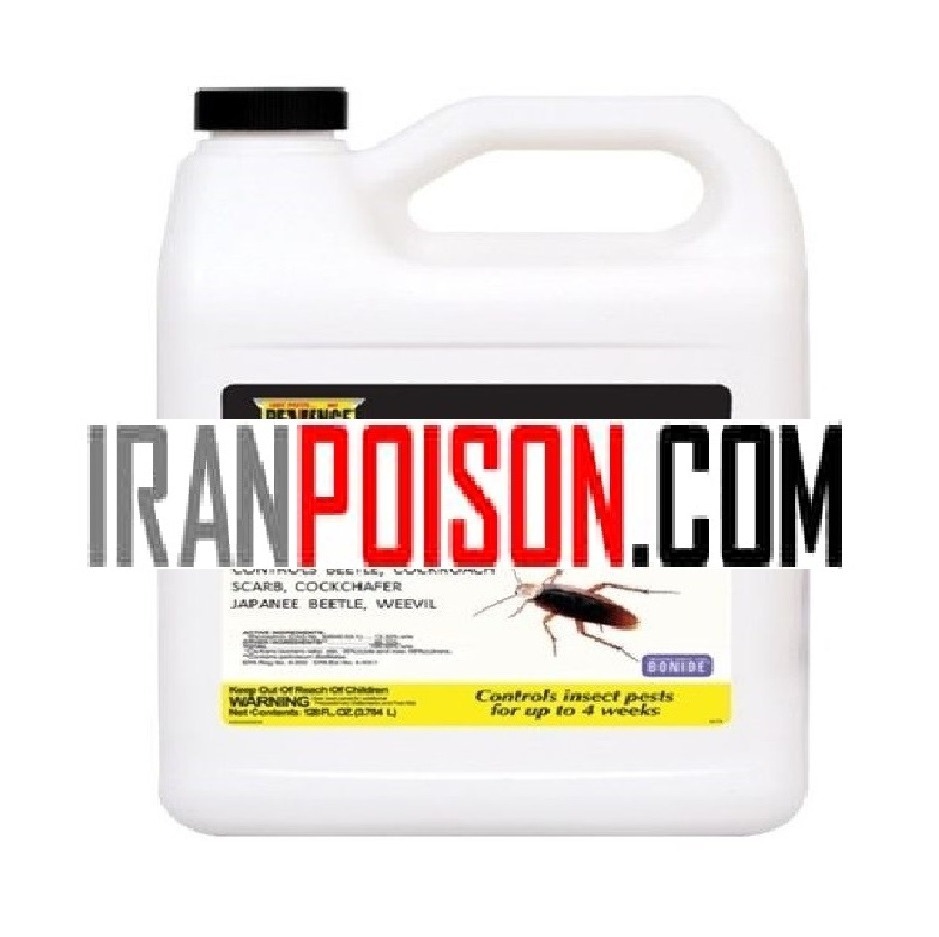 رهایی از سوسک های فاضلابی با قدرت ریونج