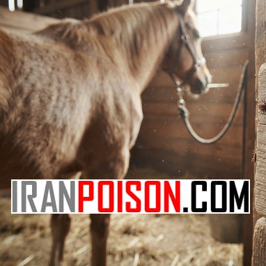 نابود کردن کنه اصطبل اسب با مکس فورس