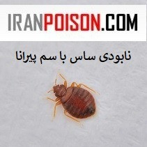 سم کشنده فوری ساس پیرانا (ارسال رایگان)