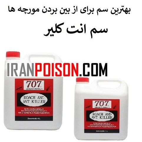 جلوگیری از هجوم مورچه ها با انت کلیر