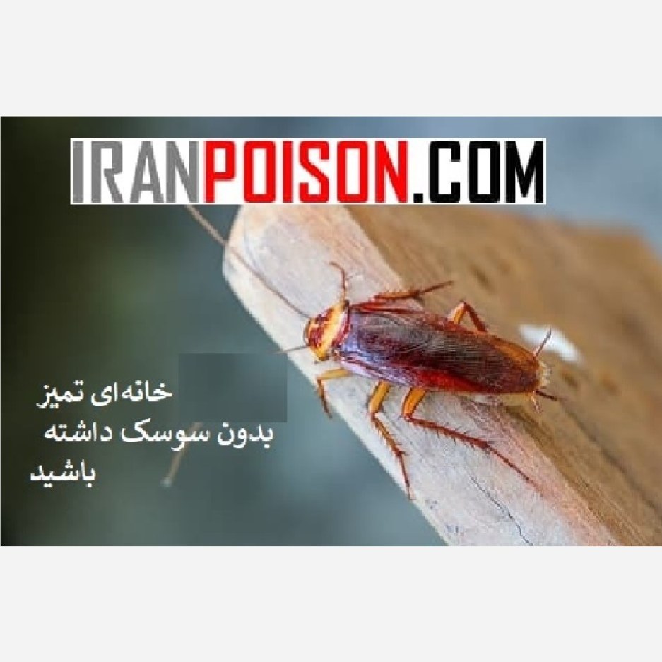 خرید و فروش سم ریپلزال وارداتی (ارسال رایگان)