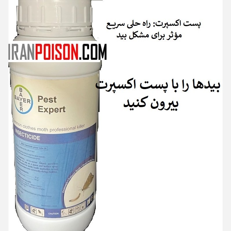 بیدها را با پست اکسپرت بیرون کنید