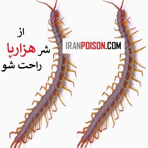 خرید بهترین سم هزار پا هاریس (ارسال رایگان)