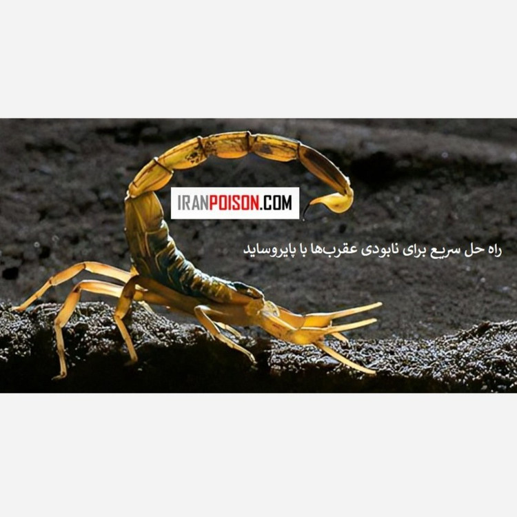 سم قوی برای نابودی عقربها هاریس