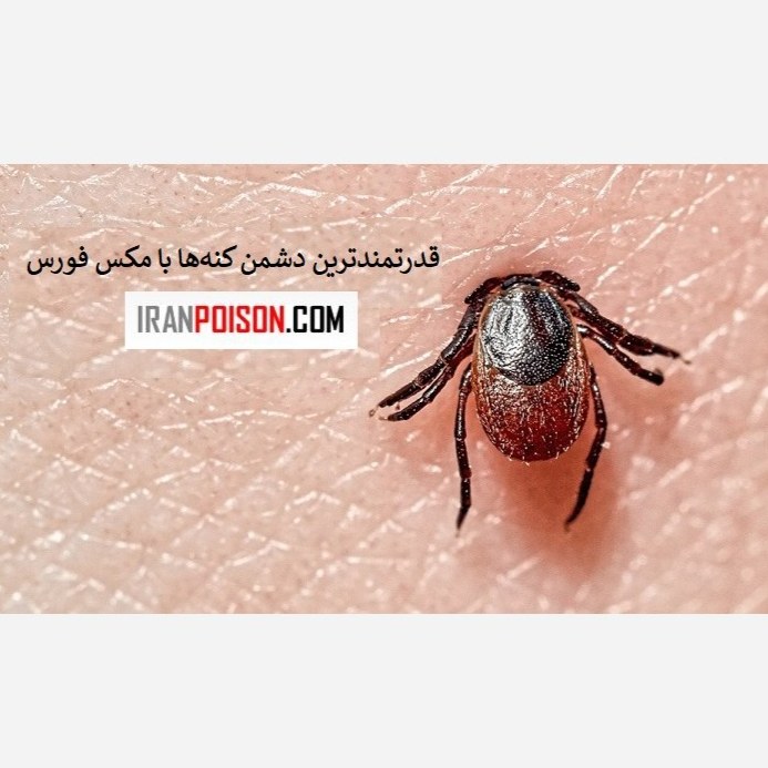 فروش سم کنه کش مکس فورس