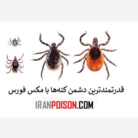 فروش سم کنه کش مکس فورس