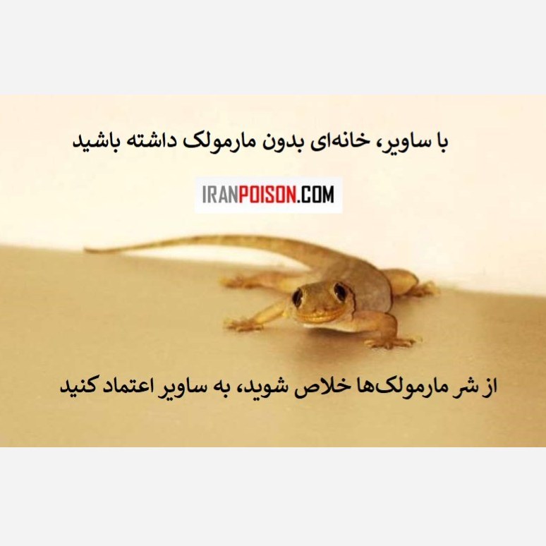 پاکسازی سریع و مؤثر مارمولک با ساویر