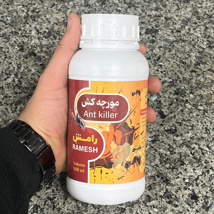 سم مورچه رامش سم حرفهای ریشهکن کلونی مورچه بدون بو