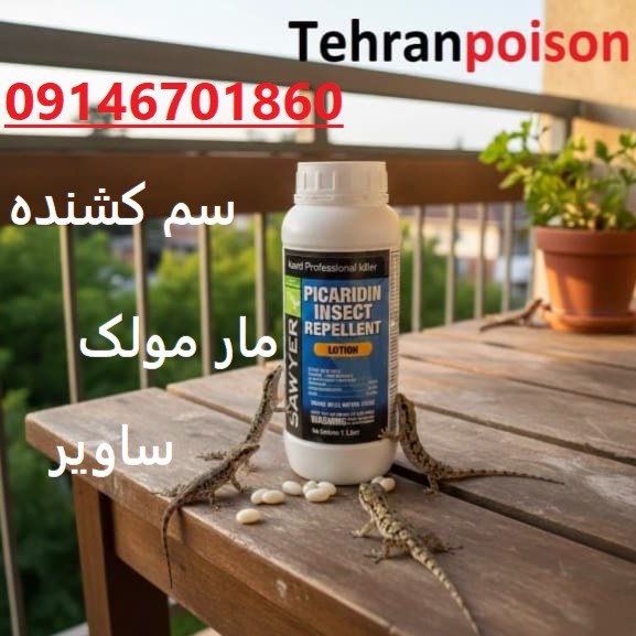 سم مارمولک قویترین دافع مارمولک خانگی ساویر