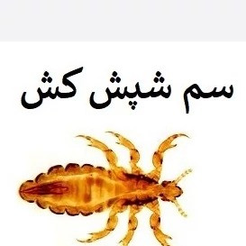معرفی سم شپش کش پرمکترین قوی ترین سم