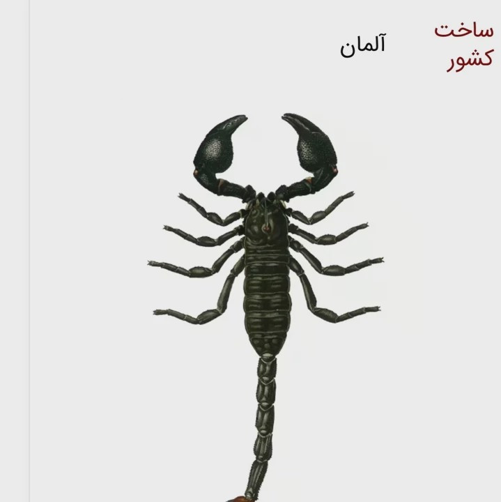 فروش سم عقرب کش پایروساید قاتل عقرب ها