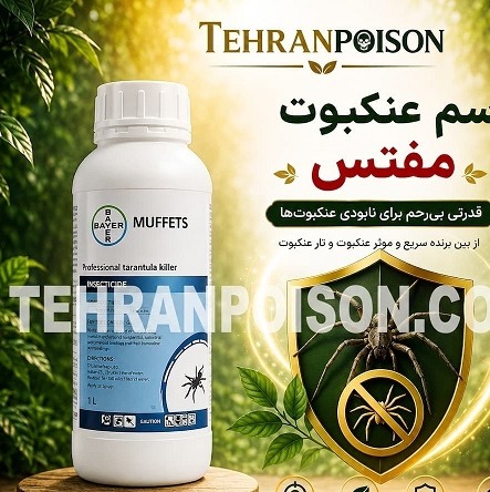 خرید کشنده عنکبوت مفتس یک حشره کش