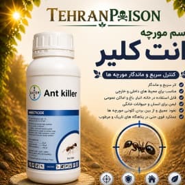 خرید سم مورچه آنت کلیر مناسب کنترل مورچه