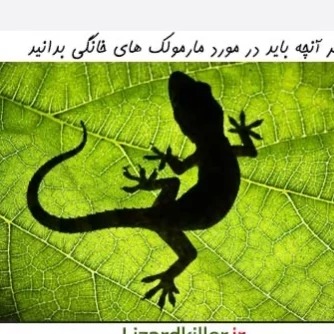 دور کننده مارمولک لیزارد محافظت از خانه در برابر مارمولک