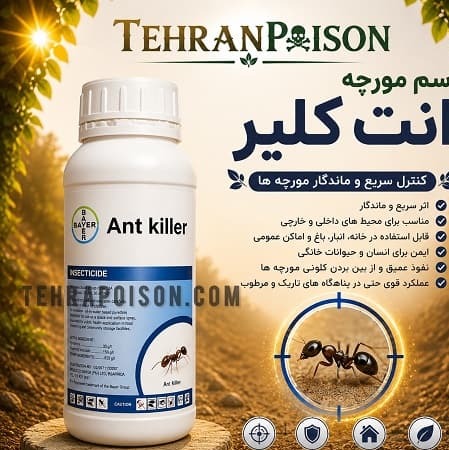 خرید انت کلیر چیست معرفی سم مورچه و نحوه استفاده