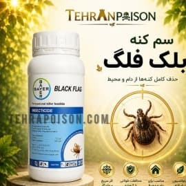 قوی سم کشنده کنه بلک فلگ