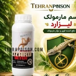 از بین بردن مارمولک ها قوی ترین
