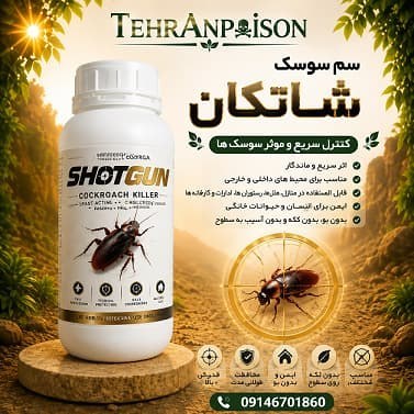 قوی ترین سم سوسک شات گان